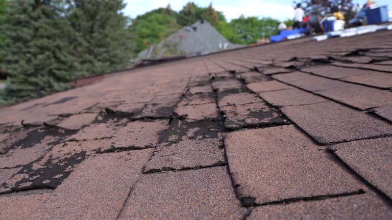 Best Skylight Installation and Repair  in Barberton, OH