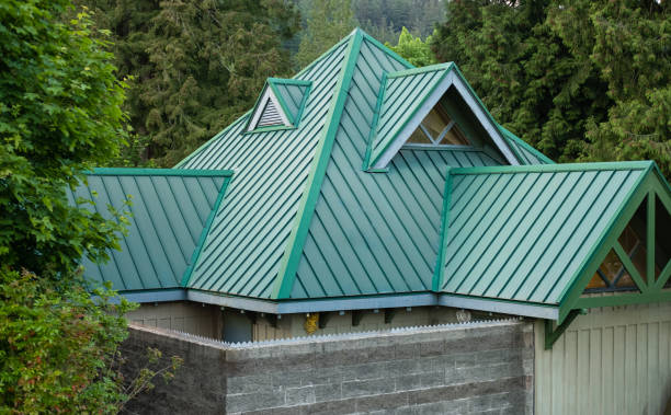 Best Roof Moss and Algae Removal  in Barberton, OH