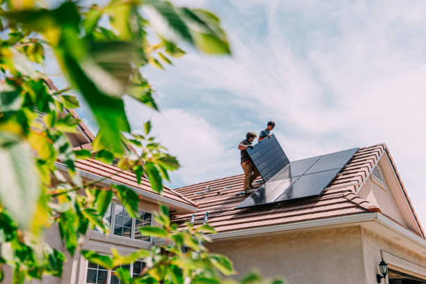 Best Roof Moss and Algae Removal  in Barberton, OH